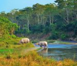 Chitwan Rastiya Nikunjaa